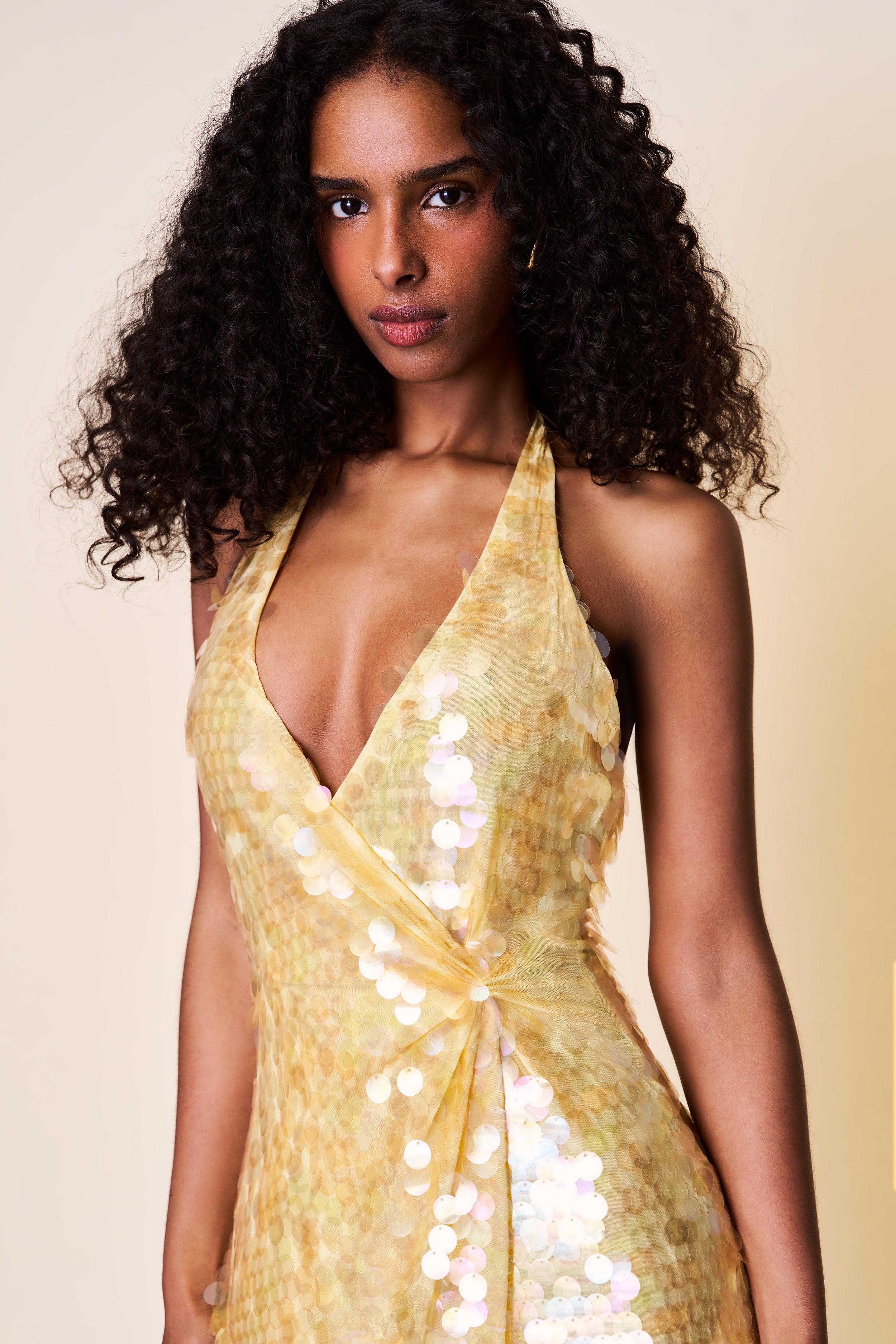 Besora Sequin Dress