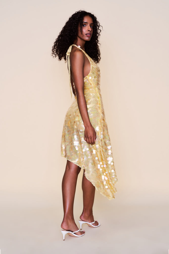 Besora Sequin Dress